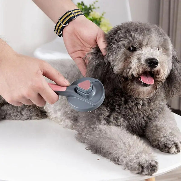 Escova Removedora de Pelos para Cães e Gatos Pakeway