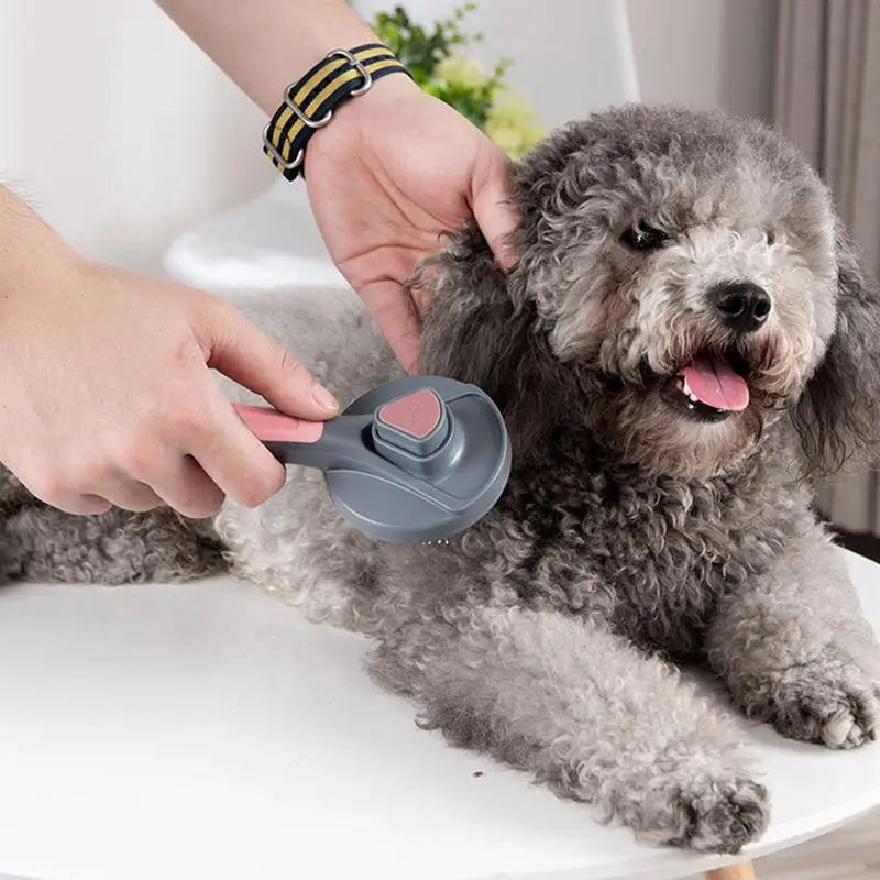 Escova Removedora de Pelos para Cães e Gatos Pakeway