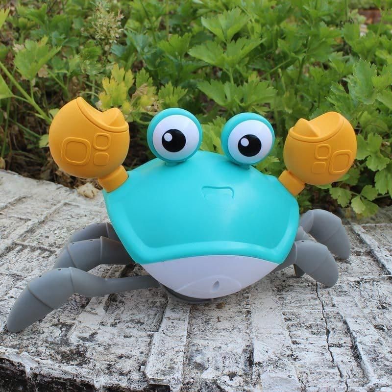 Carangueijo Fujão Teddy™ - Decristian 
