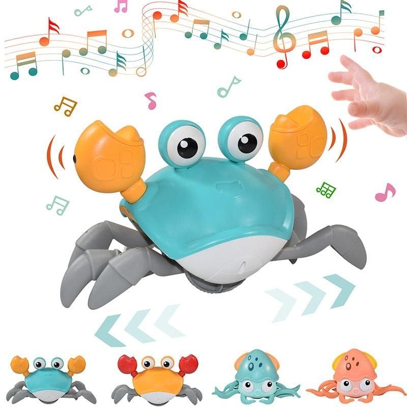 Carangueijo Fujão Teddy™ - Decristian 