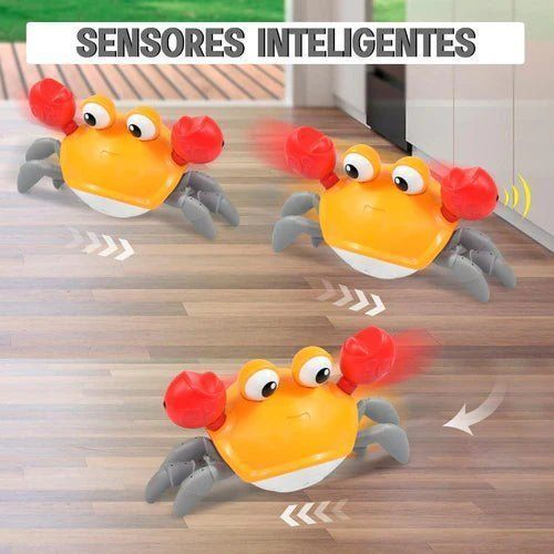 Carangueijo Fujão Teddy™ - Decristian 